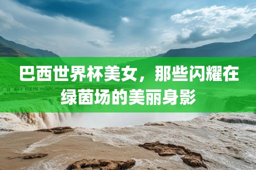 巴西世界杯美女，那些闪耀在绿茵场的美丽身影眉山市正发家政服务有限公司