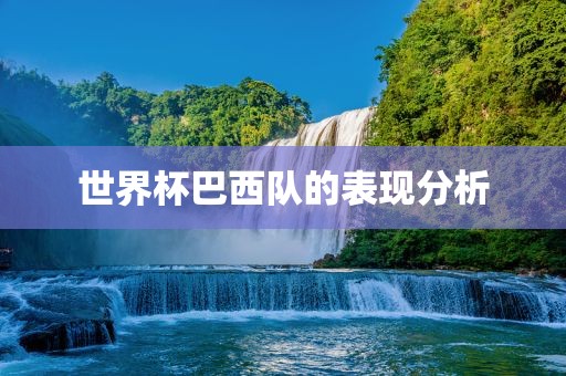 世界杯巴西队的表现分析眉山市正发家政服务有限公司