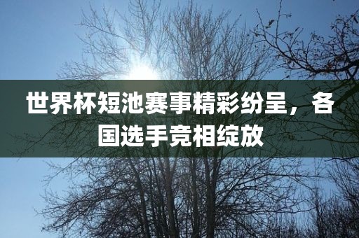 世界杯短池赛事精彩纷呈，各国选手竞相绽放眉山市正发家政服务有限公司