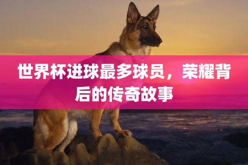 世界杯进球最多球员，荣耀背后的传奇故事