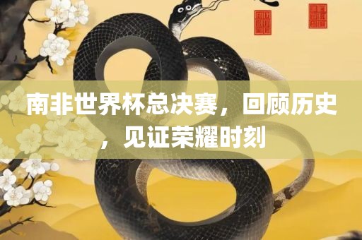 南非世界杯总决赛，回顾历史，见证荣耀时刻眉山市正发家政服务有限公司