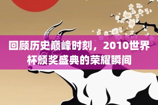 回顾历史巅峰时刻，2010世界杯颁奖盛典的荣耀瞬间眉山市正发家政服务有限公司