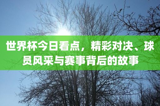 世界杯今日看点，精彩对决、球员风采与赛事背后的故事眉山市正发家政服务有限公司