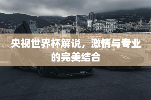 央视世界杯解说，激情与专业的完美结合眉山市正发家政服务有限公司