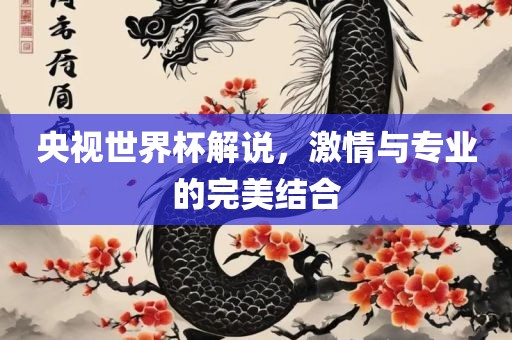 央视世界杯解说，激情与专业的完美结合眉山市正发家政服务有限公司