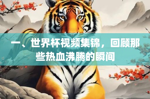 一、世界杯视频集锦，回顾那些热血沸腾的瞬间