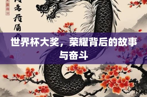世界杯大奖，荣耀背后的故事与奋斗