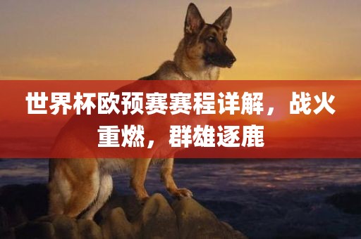 世界杯欧预赛赛程详解，战火重燃，群雄逐鹿