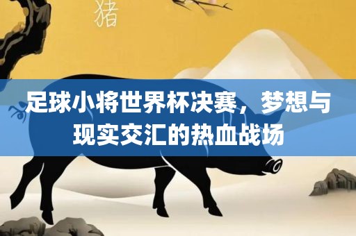 足球小将眉山市正发家政服务有限公司世界杯决赛，梦想与现实交汇的热血战场