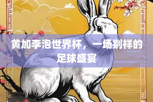 黄加李泡世界杯，一场别样的足球盛宴眉山市正发家政服务有限公司