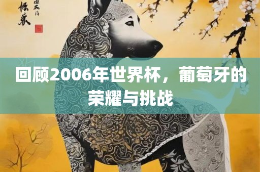 回顾2006年世界杯，葡萄牙的荣耀与挑战
