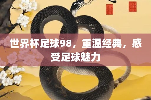 世界杯足球98，重温经典，感受足球魅力