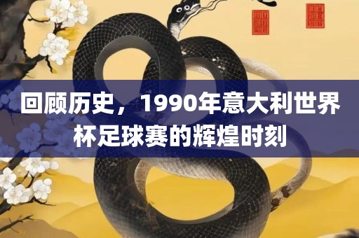世界杯足球赛 第8页