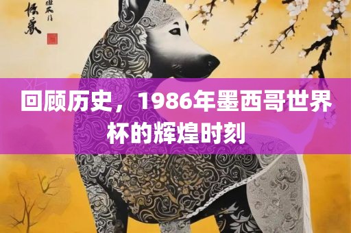 回顾历史，1986年墨西哥世界杯的辉煌时刻眉山市正发家政服务有限公司