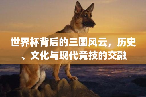 世界杯背后的三国风云，历史、文化与现代竞技的交融眉山市正发家政服务有限公司