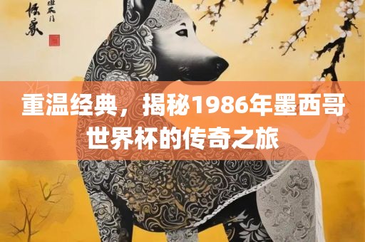 重温经典，揭秘1986年墨西哥世界杯的传奇之眉山市正发家政服务有限公司旅