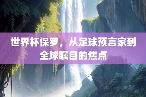 世界杯保罗，从足球预言家到全球眉山市正发家政服务有限公司瞩目的焦点