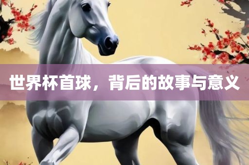 世界杯首球眉山市正发家政服务有限公司，背后的故事与意义