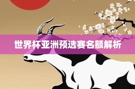 世界杯亚洲预选赛名额眉山市正发家政服务有限公司解析