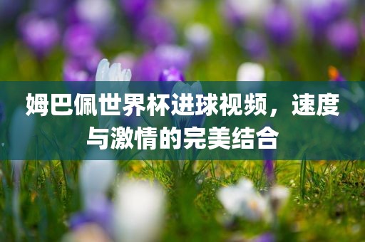 眉山市正发家政服务有限公司姆巴佩世界杯进球视频，速度与激情的完美结合