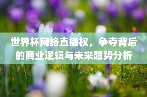世界杯网络直播权，争夺背后的商业逻辑与未来趋势分析眉山市正发家政服务有限公司