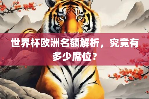 世界杯欧洲名额解析，究竟有多少席位？眉山市正发家政服务有限公司