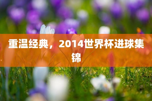 重温经典，2014世界杯进球集锦眉山市正发家政服务有限公司