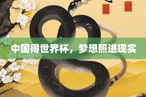 中国得世界杯，梦想照进现实
