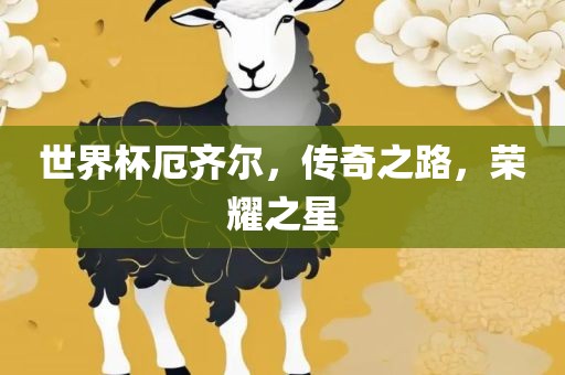 世界杯厄齐尔，传奇之路，荣耀之星