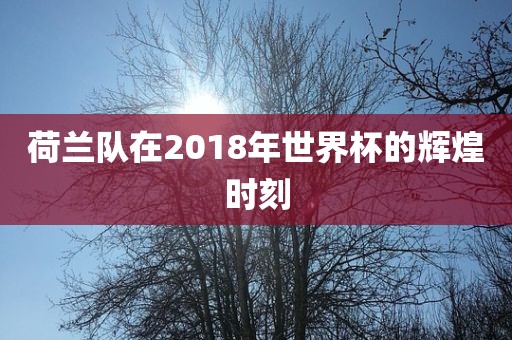 荷兰队在2018年世界杯的辉煌时刻