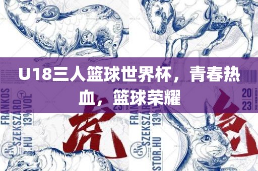U18三人篮球世界杯，青春热血，篮球荣耀眉山市正发家政服务有限公司