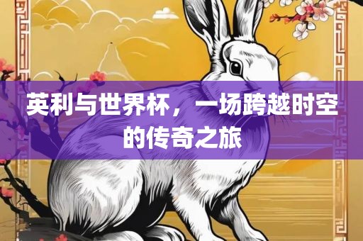 英利与世界杯，一场跨越时空的传奇之旅