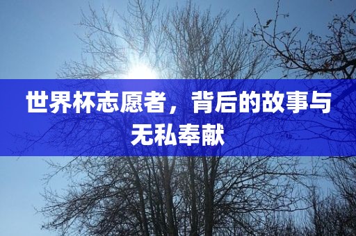 世界杯志愿者，背后的故事与无私奉献眉山市正发家政服务有限公司