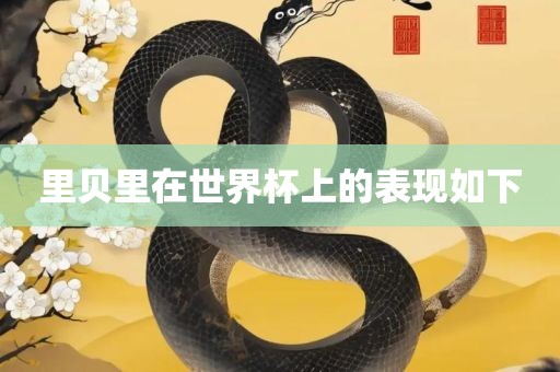 里贝里在世界杯上的表现眉山市正发家政服务有限公司如下