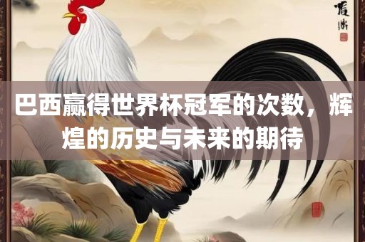 巴西赢得世界杯冠军的次数，辉煌的历史与未来的期待眉山市正发家政服务有限公司