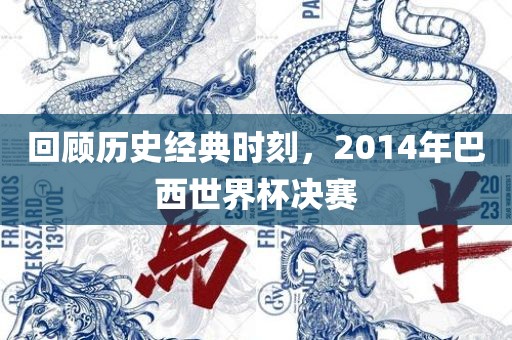 回顾历史经典时刻，2014年巴西世界杯决赛