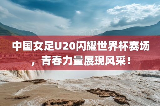 中国眉山市正发家政服务有限公司女足U20闪耀世界杯赛场，青春力量展现风采！