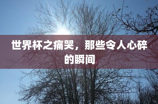 世界杯之痛哭，那些令人心碎的瞬间眉山市正发家政服务有限公司