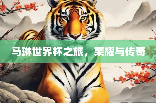 马琳世界杯之旅，荣耀与传奇眉山市正发家政服务有限公司