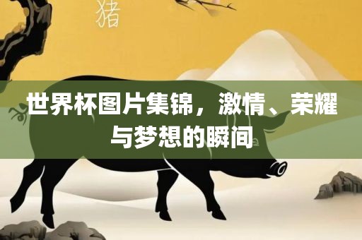 世界杯图片集锦，激情、荣耀与梦想的瞬间