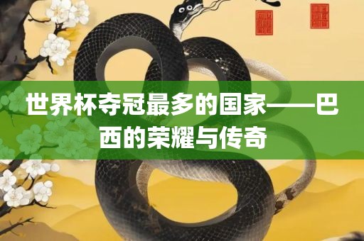 世界杯夺冠最多的国家——巴西的荣耀与传奇眉山市正发家政服务有限公司