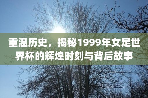 重温历史，揭秘1999年女足世界杯的辉煌时刻与背后故事眉山市正发家政服务有限公司