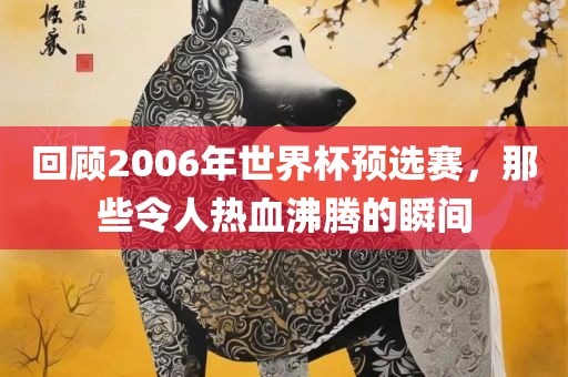 回顾2006年世界杯预选赛，那些令人热血沸腾的瞬间
