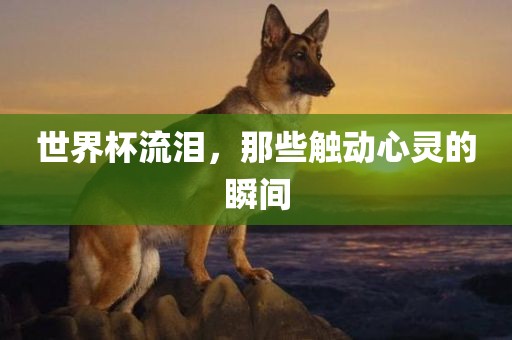 世界杯流泪，那些触动心灵的瞬间眉山市正发家政服务有限公司