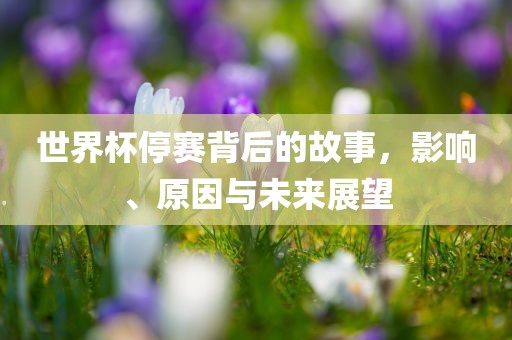 世界杯停赛背后的故事，影响、原因与未来展望