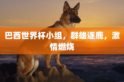 巴西世界杯小组，群雄逐鹿，激情燃烧眉山市正发家政服务有限公司