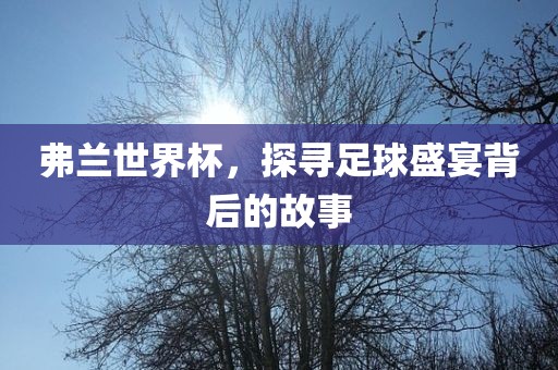 足球盛宴背后的故事 第3页