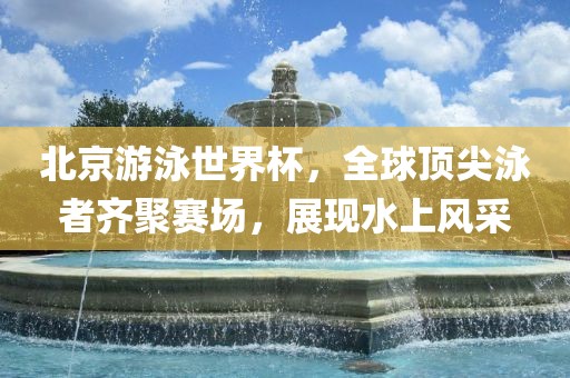 北京游泳世界杯，全球顶尖泳者齐聚赛场，展现水上风采眉山市正发家政服务有限公司