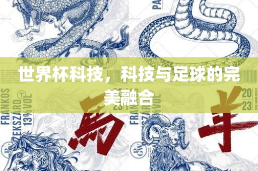 世界杯科技，科技与足球的完美融合眉山市正发家政服务有限公司