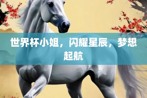 世界杯小姐，闪耀星辰，梦想起航眉山市正发家政服务有限公司